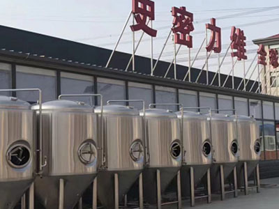 汶上精酿啤酒设备厂—市场规模与跨界新需求